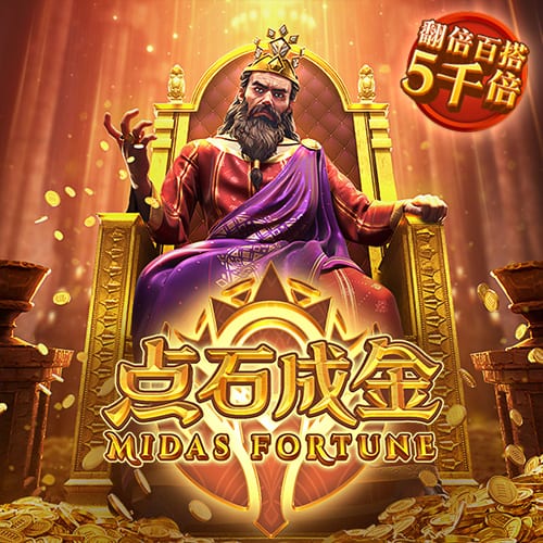 斑鸠哥是什么梗