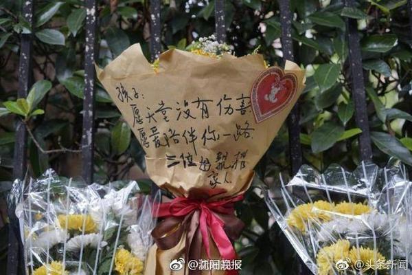 四个字的歌曲